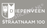 Containersticker Diepenveen - Wit