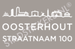 Containersticker Oosterhout - Wit