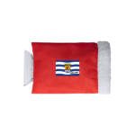 IJskrabber Zeeland - Vlag - Afbeelding 2