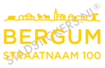 Containersticker - Bergum - Afbeelding 7